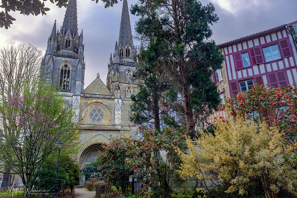 The Cathedral of Bayonne