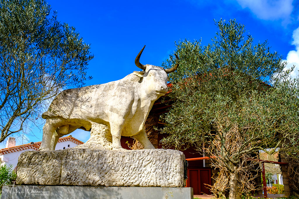 Bullfighting Arena in Bayonne