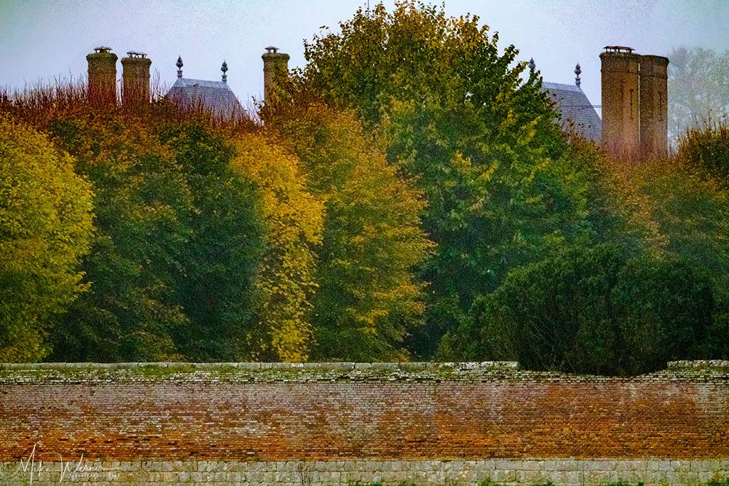 Hidden castle behind massive trees