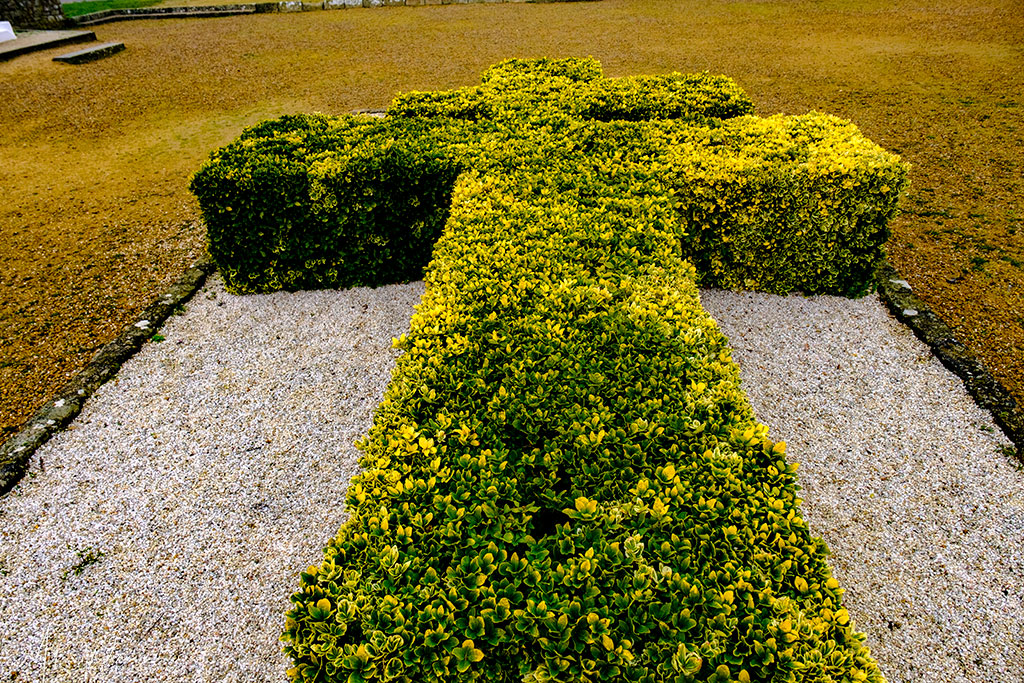 Bush, in the form of the Lorraine Cross, symbol of the French Free Fighters, to be found outside the citadel of Port-Louis