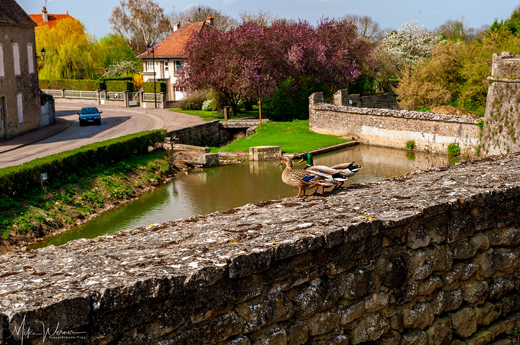 The view from the castle over the moat of the Epoisses castle in Burgundy