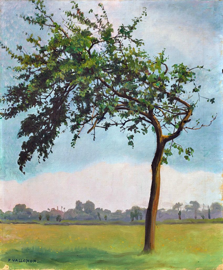 1904 - Felix Vallotton - The Apple Tree, Varengeville