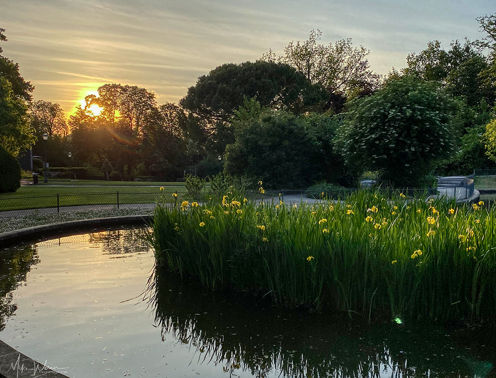 Cognac's public park