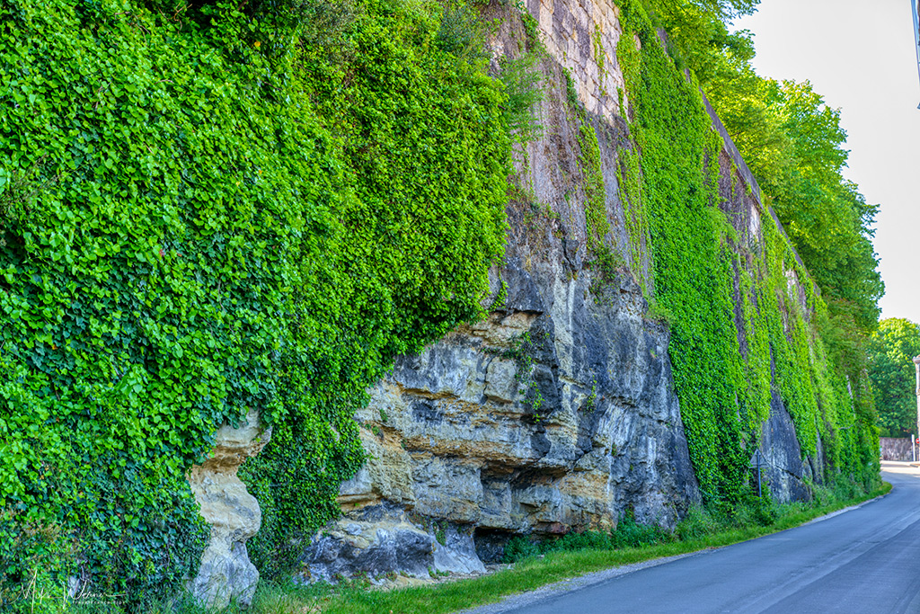 Part of the defensive, and natural, walls of Cognac