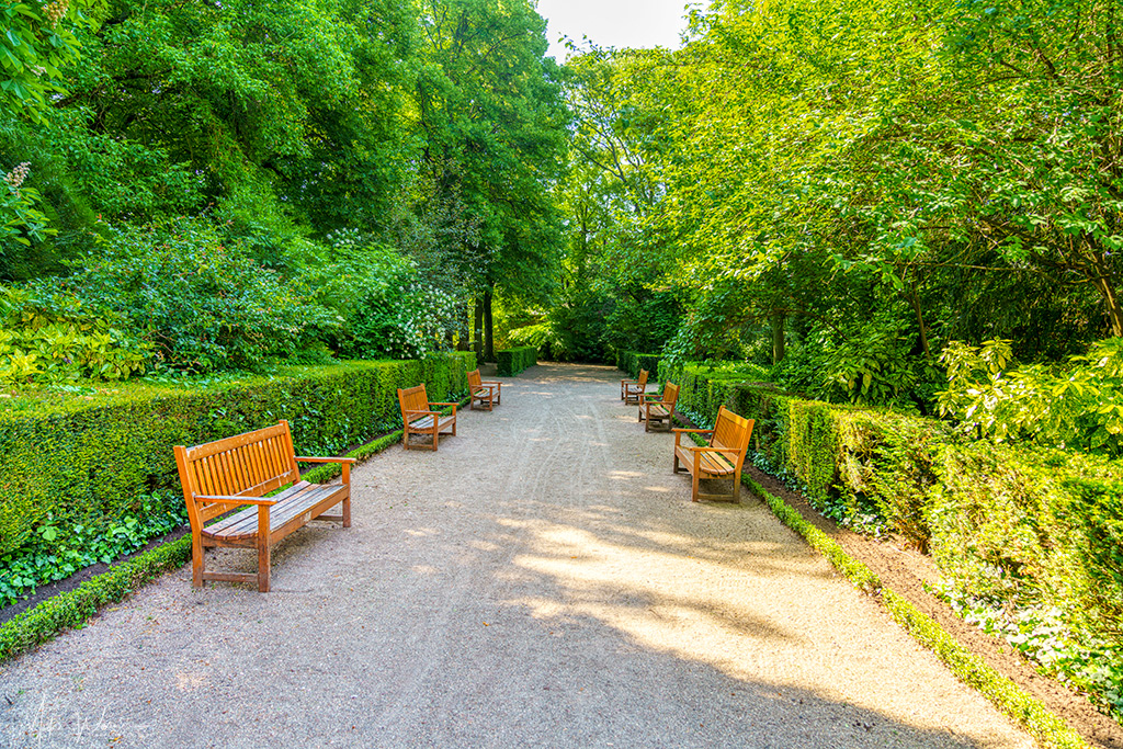 Musee des Beaux-Arts Garden